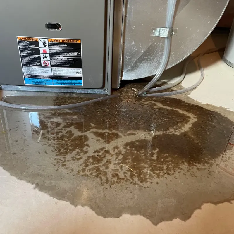 Appliance Leak Cleanup in West Rutland, VT